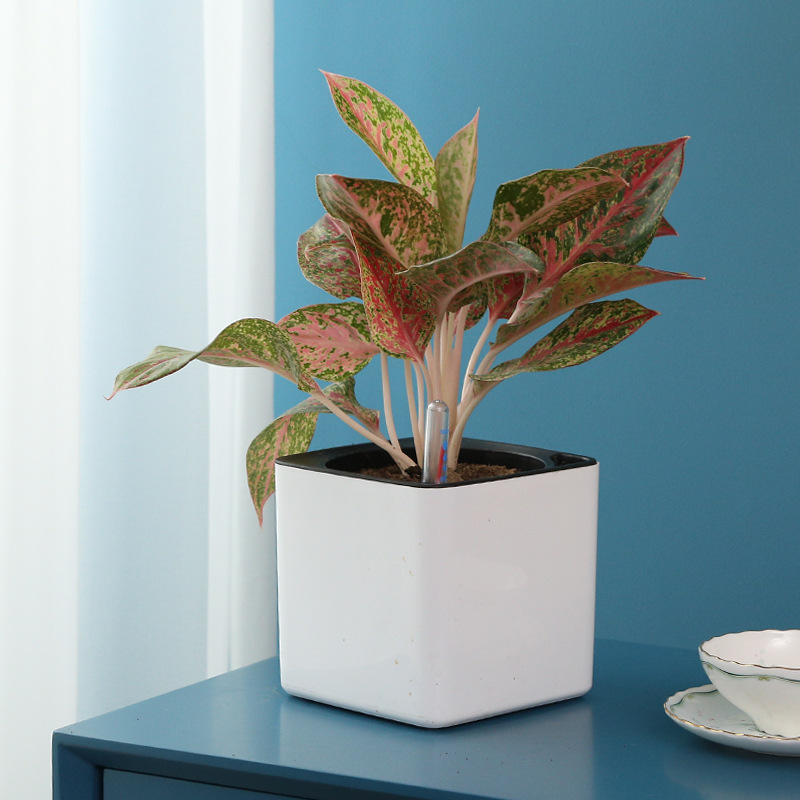 Горщик для квітів з системою автополиву L 17,2 х 17,2 х 16,2 см