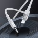Аудiокабель HOCO UPA27 Spirit transparent digital audio conversion cable iP Black (6942007612524 )