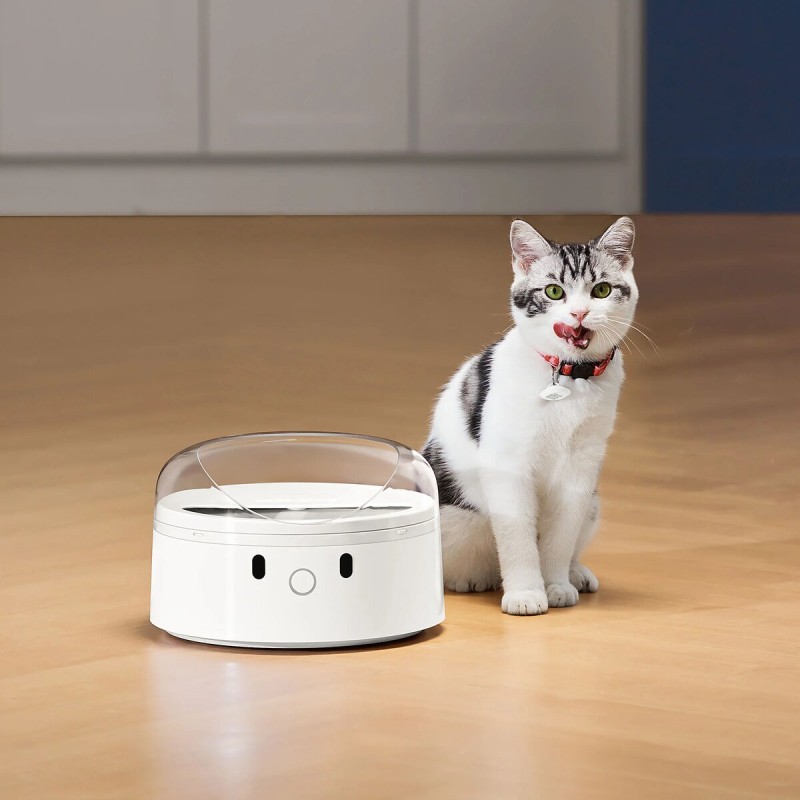 Набір міток CATLINK для Smart Feeder (2 нашийники для кішок і 2 теги UFO) UFO Tag set (2*collar+2*Tag) (6972884750217)