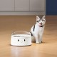 Набір міток CATLINK для Smart Feeder (2 нашийники для кішок і 2 теги UFO) UFO Tag set (2*collar+2*Tag) (6972884750217)