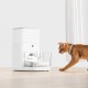 Набір міток CATLINK для Smart Feeder (2 нашийники для кішок і 2 теги UFO) UFO Tag set (2*collar+2*Tag) (6972884750217)