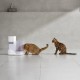 Смарт годівниця Catlink Facelink Feeder (6972884751191)