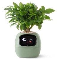 Інтерактивний розумний горщик для рослин ivy Smart Planter tuya ai - Зелений
