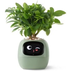 Інтерактивний розумний горщик для рослин ivy Smart Planter tuya ai - Зелений