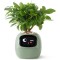 Інтерактивний розумний горщик для рослин ivy Smart Planter tuya ai - Зелений