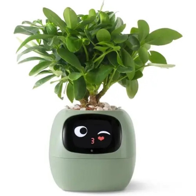 Інтерактивний розумний горщик для рослин ivy Smart Planter tuya ai