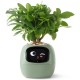 Інтерактивний розумний горщик для рослин ivy Smart Planter tuya ai
