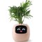 Інтерактивний розумний горщик для рослин ivy Smart Planter tuya ai - Рожевий