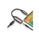 Кабель-перехiдник Baseus 2-in-1 Type-C Male to Type-C & 3.5mm Female Adapter L60S Tarnish