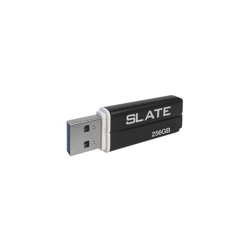 Flash Patriot USB 3.1 Lifestyle Slate 256GB Black
