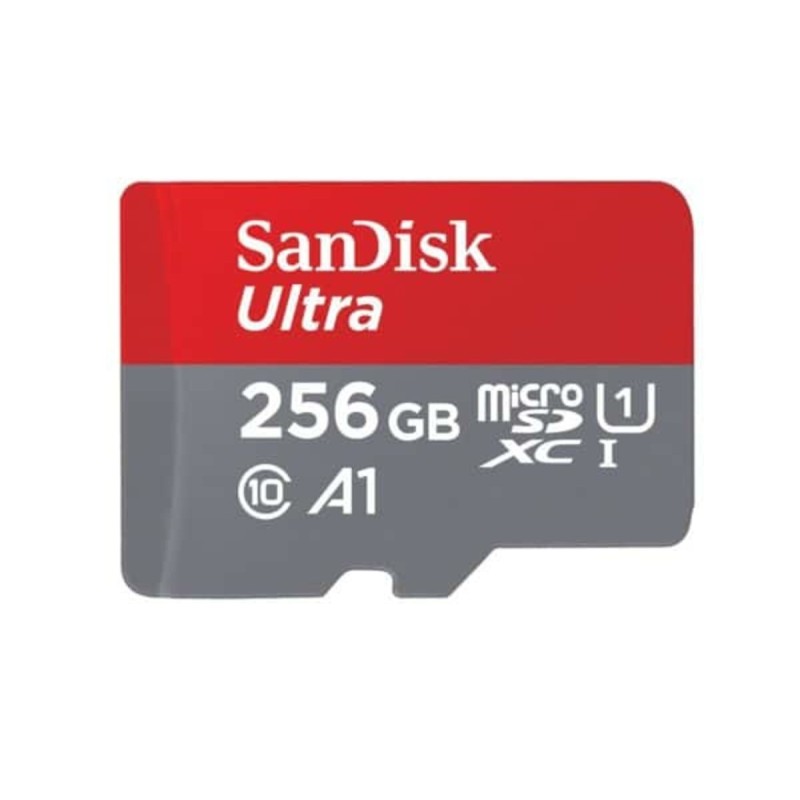 microSDXC (UHS-1) SanDisk Ultra 256Gb class 10 A1 (120Mb/s)