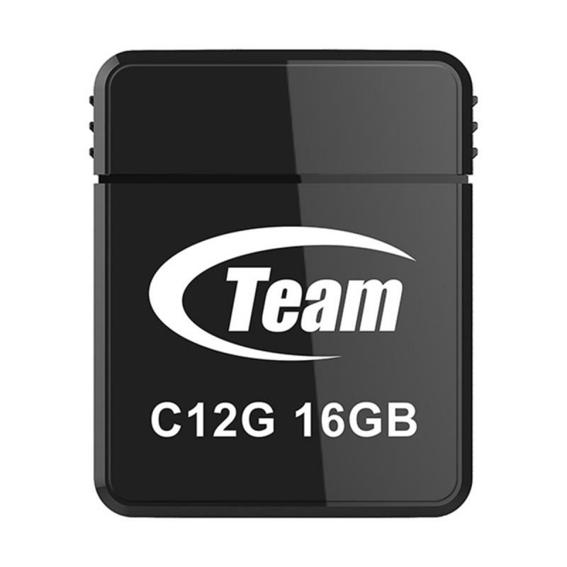 Flash Team USB 2.0 C12G 16Gb Black